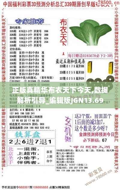 正版真精华布衣天下今天,数据解析引导_编辑版JGN13.69