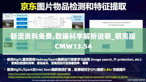 新澳资料免费,数据科学解析说明_明亮版CMW13.54