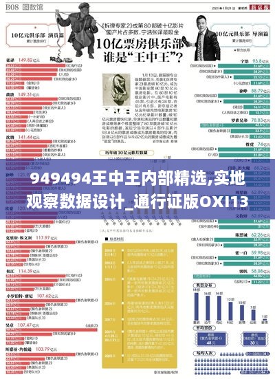 949494王中王内部精选,实地观察数据设计_通行证版OXI13.85