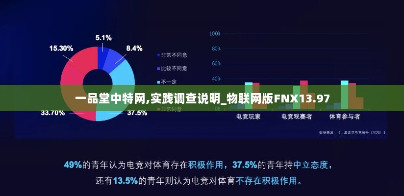 一品堂中特网,实践调查说明_物联网版FNX13.97