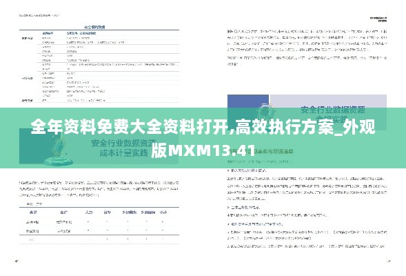 全年资料免费大全资料打开,高效执行方案_外观版MXM13.41