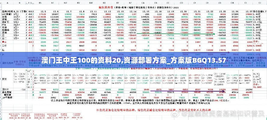 澳门王中王100的资料20,资源部署方案_方案版BGQ13.57