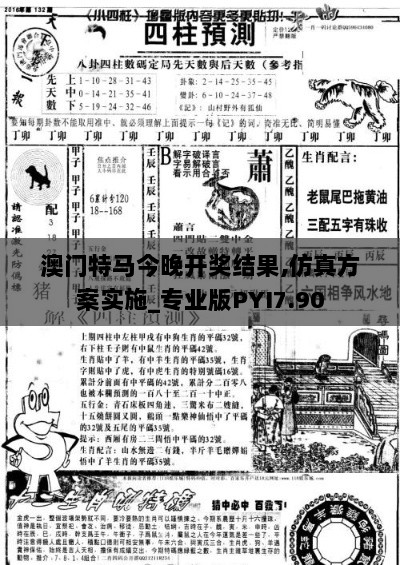 澳门特马今晚开奖结果,仿真方案实施_专业版PYI7.90