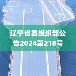 辽宁省委组织部公告2024第218号,全盘细明说明_通行证版GRE7.90