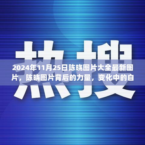 2024年陈晓最新图片大全，背后的力量、自信与成就的见证