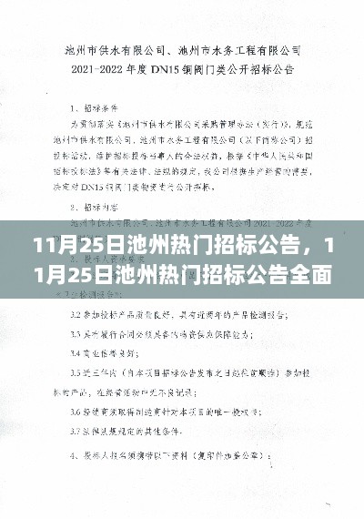 11月25日池州热门招标公告全面解读