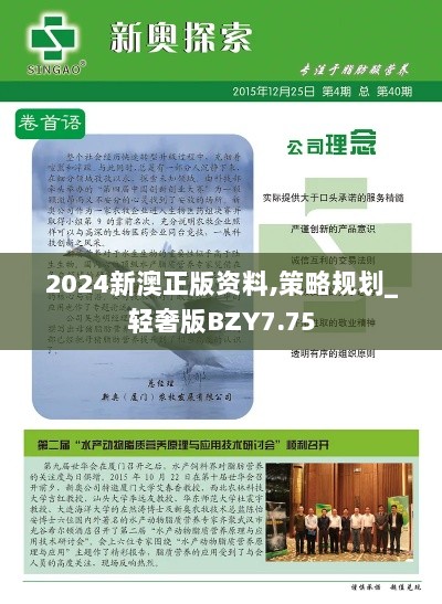 2024新澳正版资料,策略规划_轻奢版BZY7.75