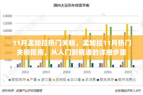 孟加拉11月热门关税指南，从入门到精通的详细步骤解析