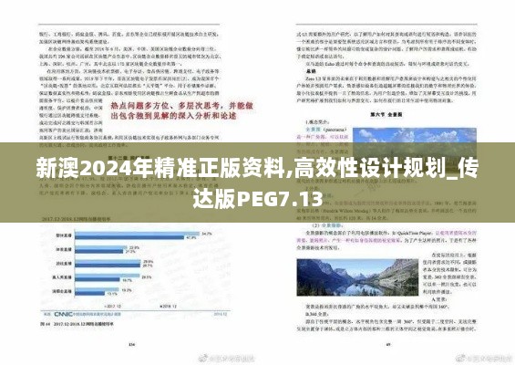 新澳2024年精准正版资料,高效性设计规划_传达版PEG7.13