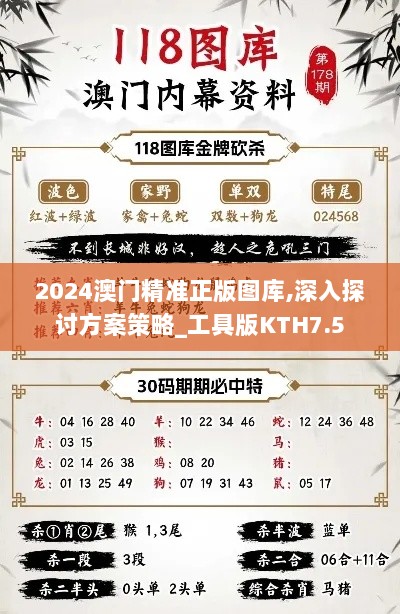 2024澳门精准正版图库,深入探讨方案策略_工具版KTH7.5