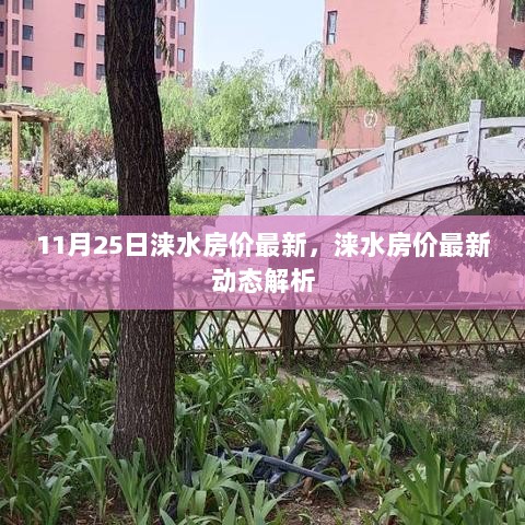 11月25日涞水房价最新动态解析与市场趋势观察