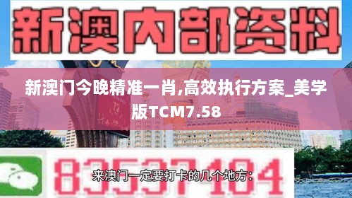 新澳门今晚精准一肖,高效执行方案_美学版TCM7.58