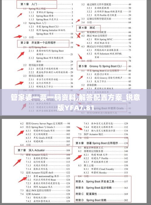 管家婆一票一码资料,解答配置方案_锐意版YFA7.81