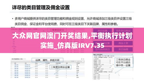 大众网官网澳门开奖结果,平衡执行计划实施_仿真版IRV7.35