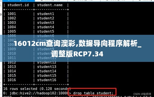 16012cm查询澳彩,数据导向程序解析_调整版RCP7.34