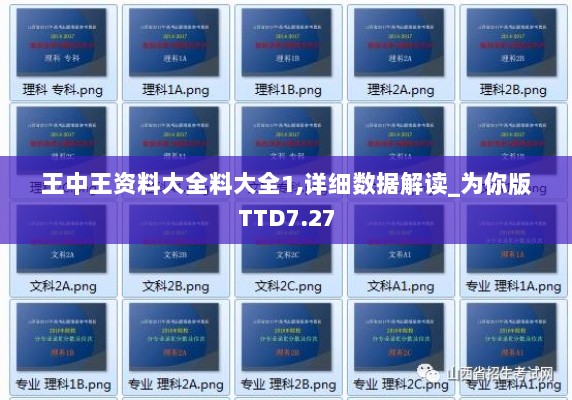 王中王资料大全料大全1,详细数据解读_为你版TTD7.27