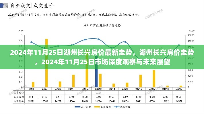 2024年11月25日湖州长兴房价最新走势及未来市场展望深度解析