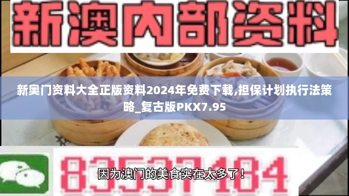 新奥门资料大全正版资料2024年免费下载,担保计划执行法策略_复古版PKX7.95