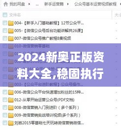 2024新奥正版资料大全,稳固执行方案计划_仿真版QGS7.90