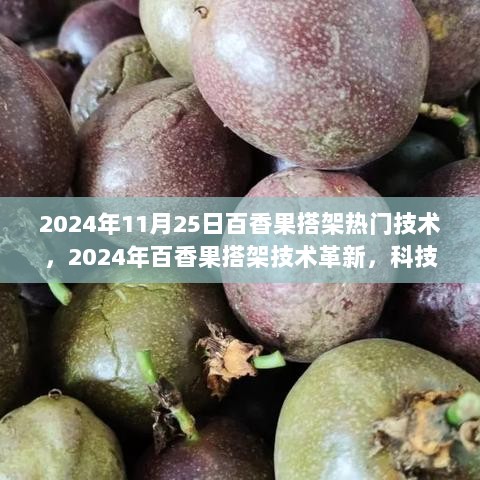 2024年百香果搭架技术革新，科技引领农业新纪元