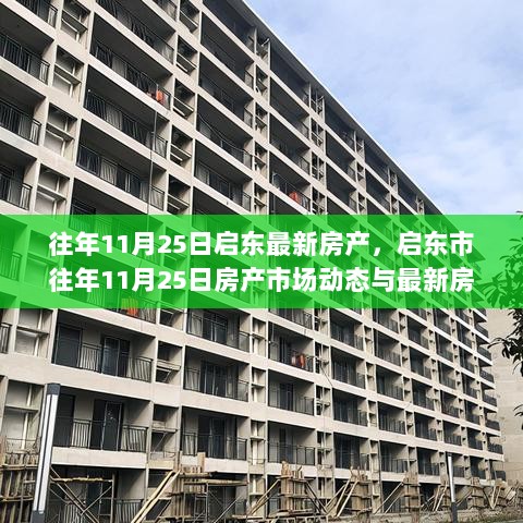 启东市往年11月25日房产市场动态与最新房产解析