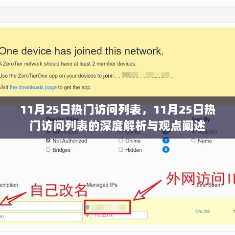 11月25日热门访问列表深度解析与观点阐述