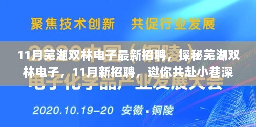 11月芜湖双林电子新招聘启幕，邀你共探小巷深处的电子之旅