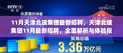 天津北玻集团11月最新招聘全面解析与体验报告