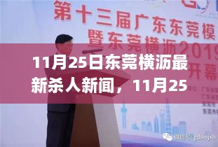 11月25日东莞横沥杀人事件，寻找宁静之旅中的悲痛与反思