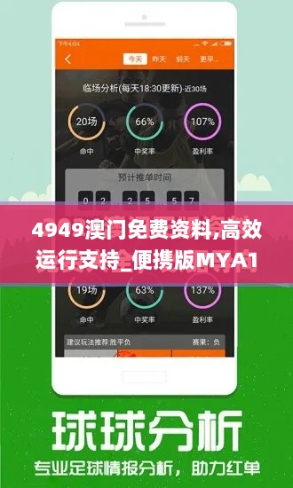 4949澳门免费资料,高效运行支持_便携版MYA13.13