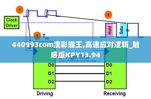 2024年11月28日 第91页