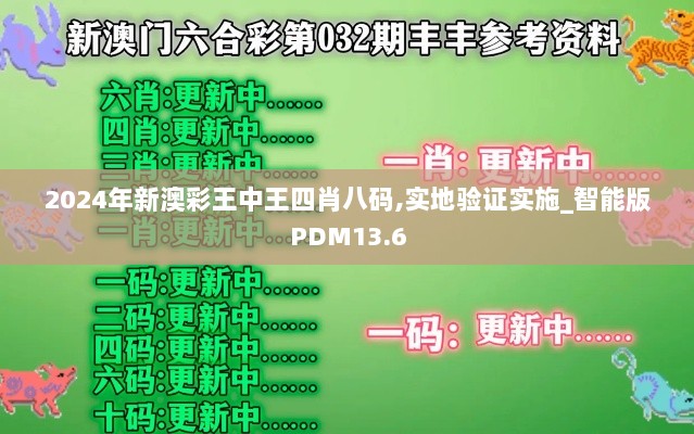 2024年新澳彩王中王四肖八码,实地验证实施_智能版PDM13.6