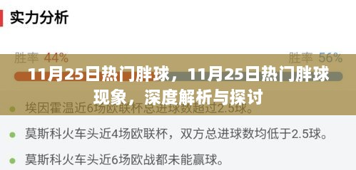 11月25日热门胖球现象，深度解析与探讨