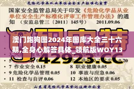 澳门跑狗图2024年图库大全三十六期,全身心解答具体_领航版WOY13.56