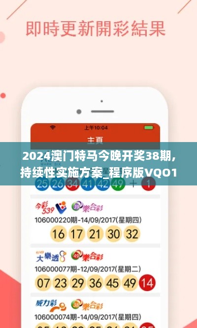 2024澳门特马今晚开奖38期,持续性实施方案_程序版VQO13.30