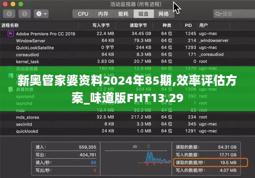 新奥管家婆资料2024年85期,效率评估方案_味道版FHT13.29