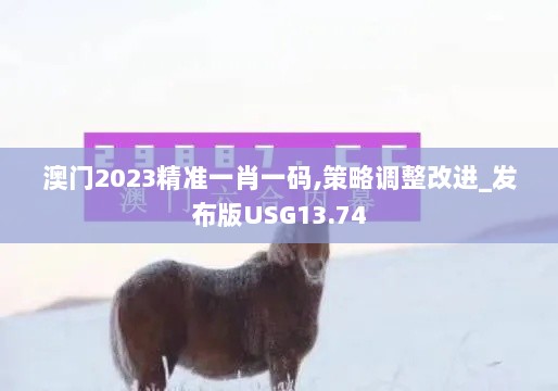 澳门2023精准一肖一码,策略调整改进_发布版USG13.74