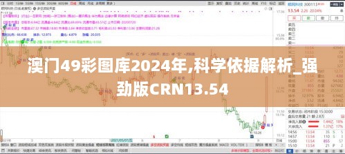 2024年11月28日 第17页