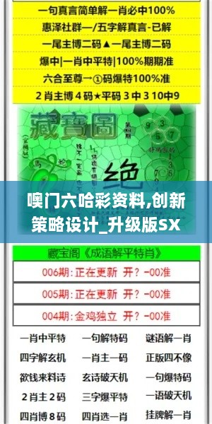 噢门六哈彩资料,创新策略设计_升级版SXC13.61