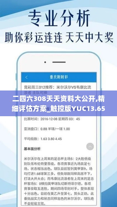 二四六308天天资料大公开,精细评估方案_触控版YUC13.65