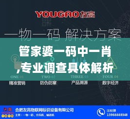 管家婆一码中一肖,专业调查具体解析_沉浸版EON13.70