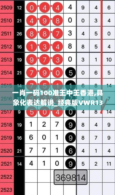 一肖一码100准王中王香港,具象化表达解说_经典版VWR13.29