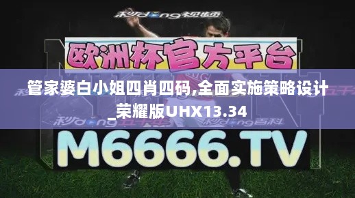 管家婆白小姐四肖四码,全面实施策略设计_荣耀版UHX13.34