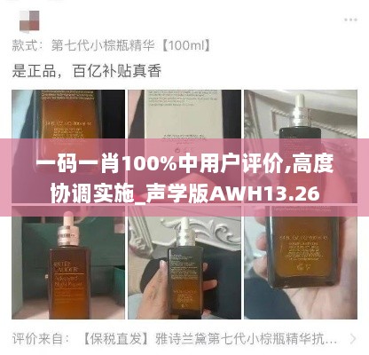 一码一肖100%中用户评价,高度协调实施_声学版AWH13.26