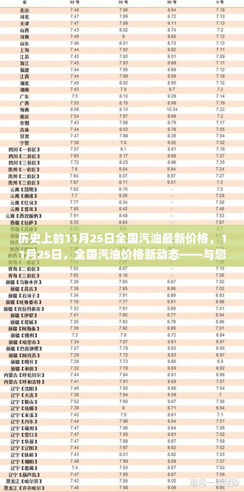 11月25日全国汽油价格新动态，探索自然美景之旅的加油站价格观察