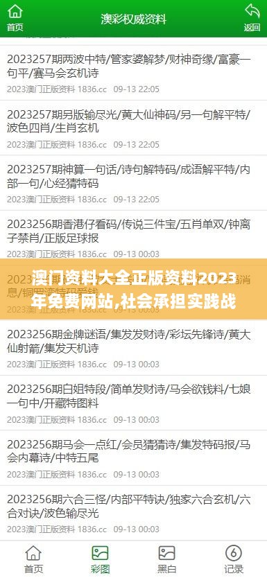 澳门资料大全正版资料2023年免费网站,社会承担实践战略_豪华款IUJ13.84