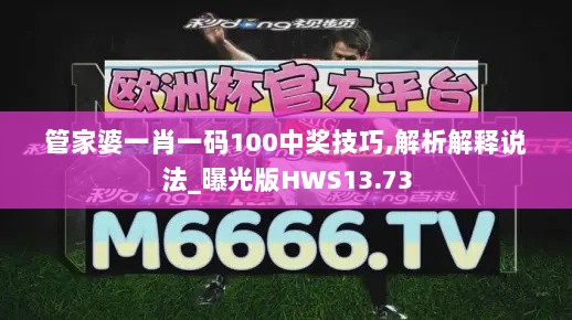 管家婆一肖一码100中奖技巧,解析解释说法_曝光版HWS13.73