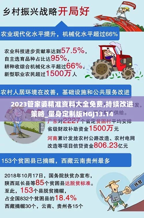 2023管家婆精准资料大全免费,持续改进策略_量身定制版HGJ13.14