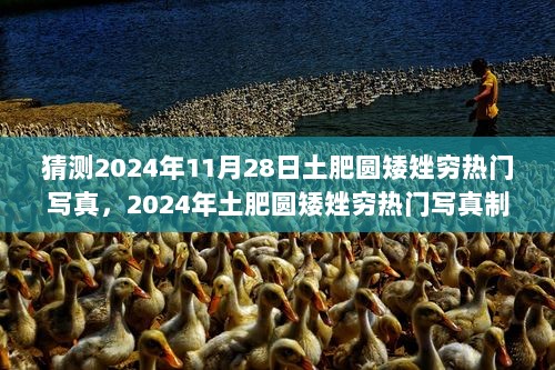 2024年土肥圆矮矬穷热门写真制作全攻略