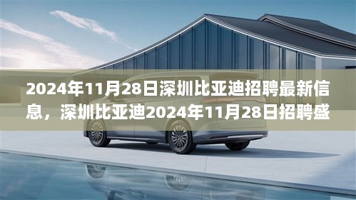 2024年11月28日深圳比亚迪招聘盛况，时代巨轮下的新篇章